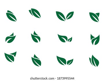 iconos de la hoja ajuste natural en fondo blanco. conjunto de iconos de hoja verde. hojas verdes trazadas. iconos de hojas de hoja ajustados. ilustración vectorial.
