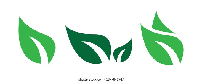 iconos de la hoja ajuste natural en fondo blanco. conjunto de iconos de hoja verde. hojas verdes trazadas. iconos de hojas de hoja ajustados. ilustración vectorial.