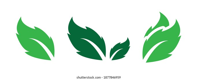 leaf icons natural set on white background. set of green leaf icons. drawn green  leaves set. leaf leaves icons set. vector illustration.