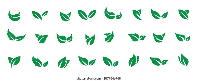 leaf icons natural set on white background. set of green leaf icons. drawn green  leaves set. leaf leaves icons set. vector illustration.