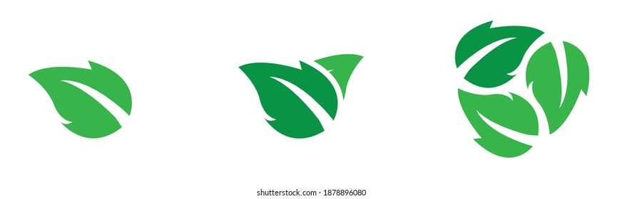 leaf icons natural set on white background. set of green leaf icons. drawn green  leaves set. leaf leaves icons set. vector illustration.