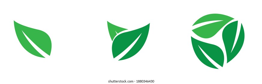 leaf icons natural set on white background. set of green leaf icons. drawn green  leaves set. leaf leaves icons set. vector illustration.