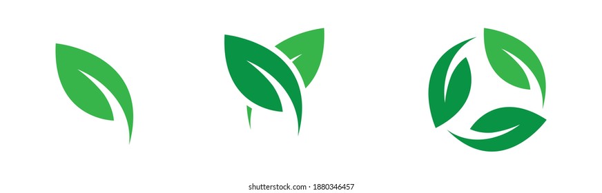 leaf icons natural set on white background. set of green leaf icons. drawn green  leaves set. leaf leaves icons set. vector illustration.