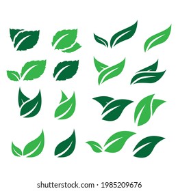 iconos de la hoja ajuste natural en fondo blanco. conjunto de iconos de hoja verde. hojas verdes trazadas. iconos de hojas de hoja ajustados. ilustración vectorial.