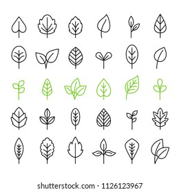 Leaf icons. Outline leaves isolated icon set, vector green line tree foliage for buttons and logo designs