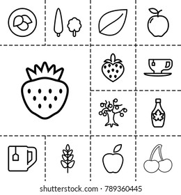 Leaf icons. set of 13 editable outline leaf icons such as leaf, apple, tea cup, maple syrup, money tree, strawberry, plant, tree