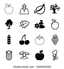 Leaf icons. set of 16 editable filled and outline leaf icons such as money tree, plant, leaf, apple, grape, heart flower, palm, tree, pineapple, cherry