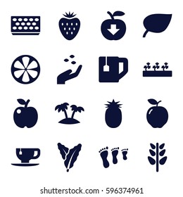 leaf icons set. Set of 16 leaf filled icons such as apple, spinach, hand with seeds, tea cup, pot for plants, sprout plants, lemon, plant, palm, pineapple, strawberry