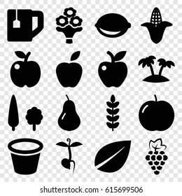 Leaf icons set. set of 16 leaf filled icons such as pear, apple, grape, corn, leaf, tea cup, pot for plants, sprout, lemon, bouquet flower, palm, tree