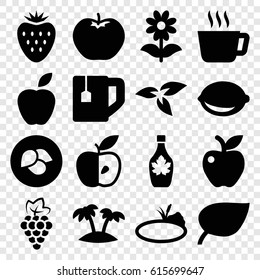 Leaf icons set. set of 16 leaf filled icons such as plant, leaf, grape, apple, tea cup, maple syrup, flower, lemon, palm, pond, strawberry