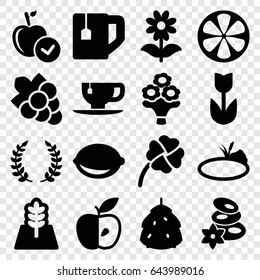 Leaf icons set. set of 16 leaf filled icons such as berry, spa stones, apple, grape, tea cup, flower, lemon, bouquet flower, clover, tree, pond