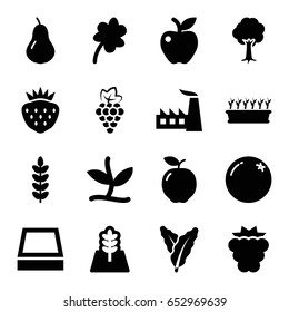 Leaf icons set. set of 16 leaf filled icons such as orange, apple, pear, mulberry, grape, spinach, clover, factory, plant in pot, tree, strawberry, square plant pot