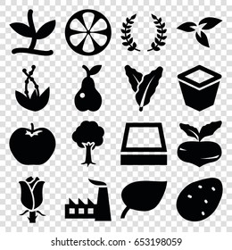 Leaf icons set. set of 16 leaf filled icons such as plant, potato, beet, spinach, apple, factory, pot for plants, tree, pear, rose, lemon, square plant pot, olive branch