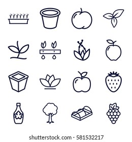 leaf icons set. Set of 16 leaf outline icons such as apple, grape, maple syrup, pot for plants, plant in pot, flower, tree, greenohuse, leaf, plant