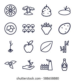 leaf icons set. Set of 16 leaf outline icons such as plant, leaf, berry, potato, tree, bamboo, factory, maple syrup, apple, raspberry, sprout, lemon, palm, pond