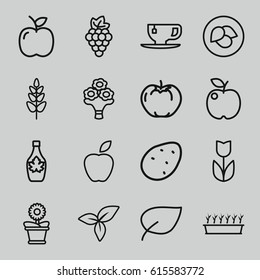 Leaf icons set. set of 16 leaf outline icons such as leaf, potato, grape, apple, maple syrup, tea cup, plant in pot, flower pot, plant, bouquet flower