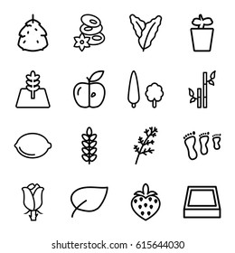 Leaf icons set. set of 16 leaf outline icons such as berry, spinach, deel, spa stones, bamboo, plant in pot, rose, apple, lemon, strawberry, tree, square plant pot, leaf