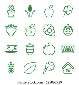 Leaf icons set. set of 16 leaf outline icons such as apple, corn, leaf, Clover, Grape, tea cup, pot for plants, flower pot, raspberry, strawberry, clover, eco house, pineapple