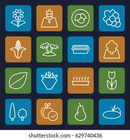 Leaf icons set. set of 16 leaf outline icons such as leaf, pear, corn, apple, grape, pot for plants, plant in pot, flower, raspberry, palm, tree