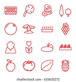Leaf icons set. set of 16 leaf outline icons such as orange, apple, grape, leaf, spa stones, pot for plants, plant in pot, sprout plants, palm, clover, tree, pond, pineapple