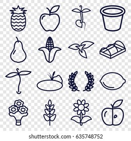 Leaf icons set. set of 16 leaf outline icons such as plant, pear, corn, pot for plants, flower, apple, greenohuse, sprout, lemon, bouquet flower, pond, pineapple