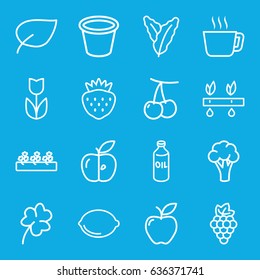 Leaf icons set. set of 16 leaf outline icons such as cherry, grape, spinach, cauliflower, oil, clover, pot for plants, sprout plants, apple, strawberry, lemon, leaf, flower