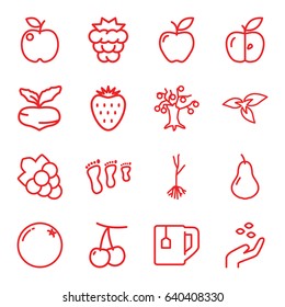 Leaf icons set. set of 16 leaf outline icons such as plant, orange, pear, cherry, mulberry, beet, hand with seeds, grape, tea cup, apple, sprout, strawberry, money tree