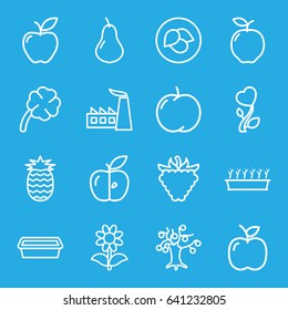 Leaf icons set. set of 16 leaf outline icons such as leaf, apple, pear, factory, pot for plants, plant in pot, flower, raspberry, heart flower, clover, pineapple
