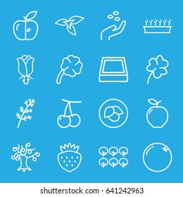 Leaf icons set. set of 16 leaf outline icons such as plant, leaf, orange, apple, cherry, deel, tree, hand with seeds, clover, plant in pot, strawberry, rose, clover