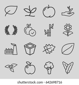 Leaf icons set. set of 16 leaf outline icons such as plant, leaf, apple, spinach, cauliflower, bamboo, factory, pot for plants, flower, plant on hand