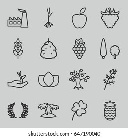 Leaf icons set. set of 16 leaf outline icons such as berry, grape, deel, lotus, clover, factory, raspberry, sprout, plant, palm, tree, plant on hand, pineapple, olive branch