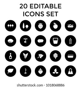 Leaf icons. set of 20 editable filled leaf icons such as apple, spinach, tree, plant in pot, strawberry, sprout, lemon, potato. best quality leaf elements in trendy style.