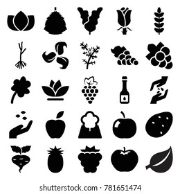 Leaf icons. set of 25 editable filled leaf icons such as potato, mulberry, grape, apple, hand with seeds, lotus, clover, grape, plant, flower, rose, sprout, tree, pineapple