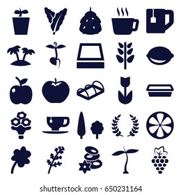 Leaf icons set. set of 25 leaf filled icons such as plant, berry, grape, spinach, deel, apple, spa stones, clover, tea cup, pot for plants, plant in pot, greenohuse, sprout