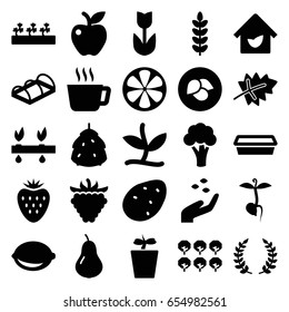 Leaf icons set. set of 25 leaf filled icons such as leaf, berry, potato, pear, cauliflower, tree, hand with seeds, pot for plants, plant in pot, sprout plants, apple