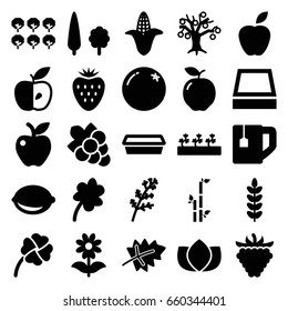 Leaf icons set. set of 25 leaf filled icons such as leaf, orange, apple, deel, corn, tree, lotus, bamboo, clover, grape, tea cup, pot for plants, flower, sprout plants