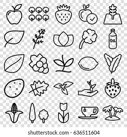 Leaf icons set. set of 25 leaf outline icons such as plant, leaf, potato, spinach, deel, corn, tree, oil, lotus, apple, grape, tea cup, strawberry, lemon, palm, clover