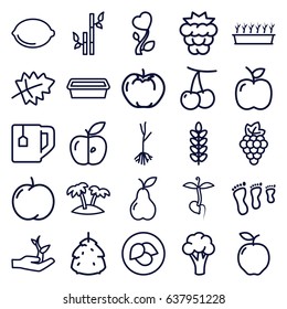 Leaf icons set. set of 25 leaf outline icons such as leaf, berry, apple, cherry, mulberry, grape, cauliflower, bamboo, tea cup, pot for plants, plant in pot, pear, sprout