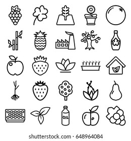 Leaf icons set. set of 25 leaf outline icons such as orange, pear, grape, tree, oil, bamboo, clover, grape, factory, maple syrup, pot for plants, plant in pot, flower pot