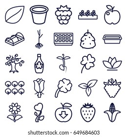 Leaf icons set. set of 25 leaf outline icons such as berry, mulberry, corn, tree, leaf, clover, maple syrup, pot for plants, flower, sprout plants, raspberry, rose, sprout