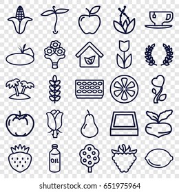 Leaf icons set. set of 25 leaf outline icons such as plant, pear, beet, apple, corn, tree, oil, tea cup, pot for plants, strawberry, raspberry, rose, lemon, heart flower