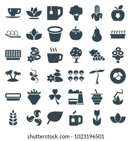 Leaf icons. set of 36 editable filled leaf icons such as plant, leaf, pear, tree, spa stones, flower, tea, tea cup, pot for plants, plant in pot, raspberry, bouquet flower