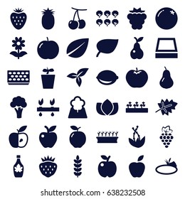 Leaf icons set. set of 36 leaf filled icons such as leaf, orange, apple, pear, cherry, mulberry, grape, cauliflower, tree, lotus, maple syrup, pot for plants, plant in pot