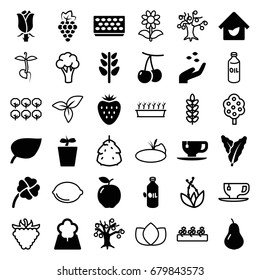 Leaf icons set. set of 36 leaf filled and outline icons such as apple, pear, cherry, grape, spinach, oil, hand with seeds, tea cup, pot for plants, plant in pot, rose, plant