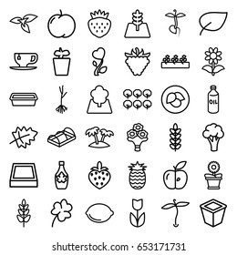 Leaf icons set. set of 36 leaf outline icons such as plant, leaf, apple, cauliflower, tree, oil, clover, maple syrup, tea cup, pot for plants, plant in pot, flower