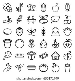 Leaf icons set. set of 36 leaf outline icons such as berry, orange, cherry, beet, deel, apple, hand with seeds, bamboo, grape, pot for plants, plant in pot, flower, raspberry