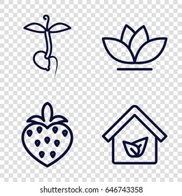 Leaf icons set. set of 4 leaf outline icons such as flower, sprout, strawberry
