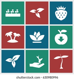 Leaf icons set. set of 9 leaf filled icons such as plant, flower, sprout plants, strawberry, leaf, palm, plant on hand