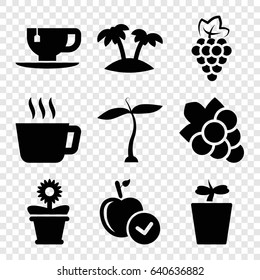 Leaf icons set. set of 9 leaf filled icons such as plant, grape, apple, grape, tea cup, plant in pot, flower pot, palm
