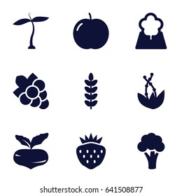 Leaf icons set. set of 9 leaf filled icons such as plant, apple, beet, cauliflower, grape, strawberry